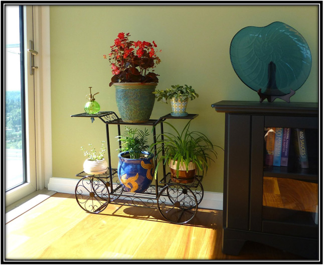 Eurpopean Style Hanging Flower Pots Home Decor Ideas