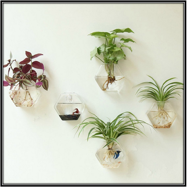 Hexagon Shape Hanging Flower Pots Home Decor Ideas