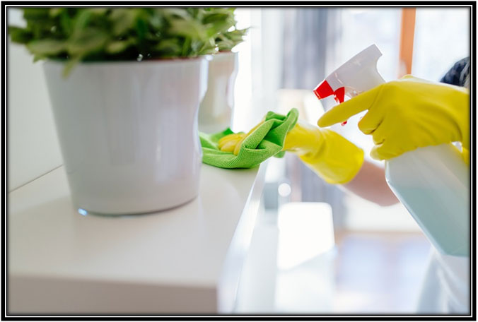 Standard house cleaning services